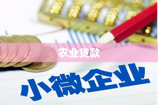 麦积农业贷款