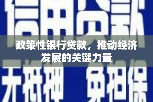 麦积政策性银行贷款，推动经济发展的关键力量