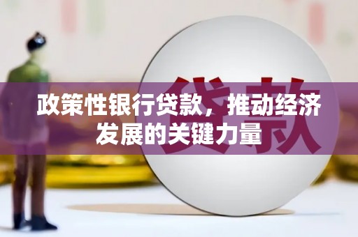 麦积政策性银行贷款，推动经济发展的关键力量