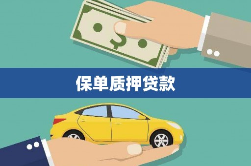 麦积保单质押贷款
