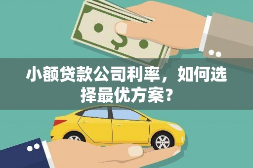 麦积小额贷款公司利率，如何选择最优方案？