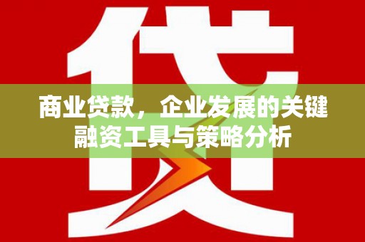 麦积商业贷款，企业发展的关键融资工具与策略分析