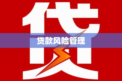麦积贷款风险管理