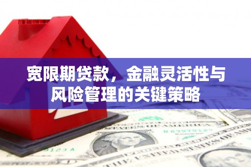 麦积宽限期贷款，金融灵活性与风险管理的关键策略