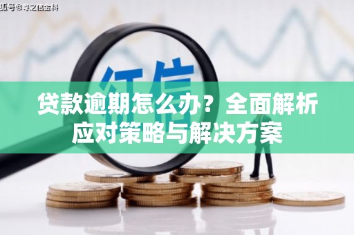 麦积贷款逾期怎么办？全面解析应对策略与解决方案