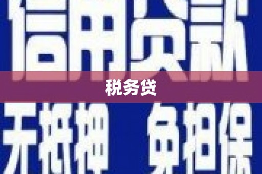 麦积税务贷