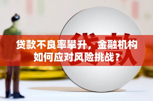 麦积贷款不良率攀升，金融机构如何应对风险挑战？