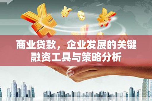 麦积商业贷款，企业发展的关键融资工具与策略分析