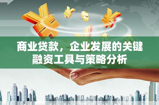 麦积商业贷款，企业发展的关键融资工具与策略分析