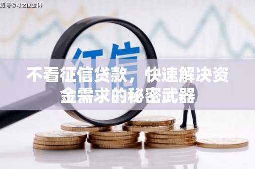 麦积不看征信贷款，快速解决资金需求的秘密武器