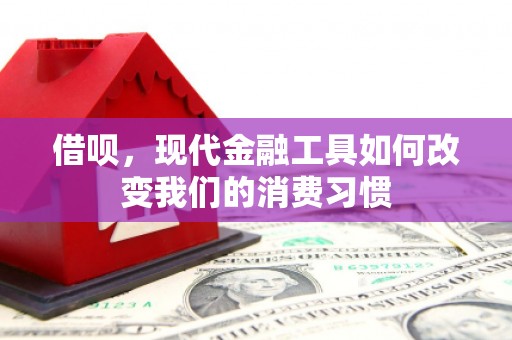 麦积借呗，现代金融工具如何改变我们的消费习惯
