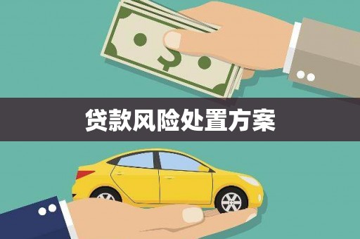 麦积贷款风险处置方案