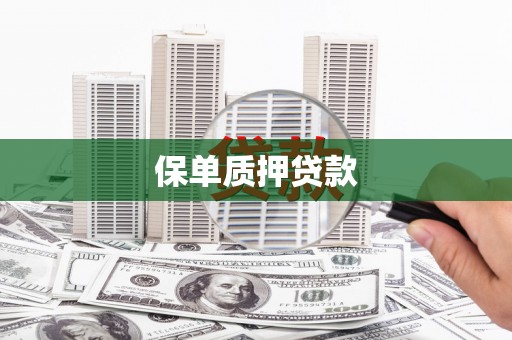 麦积保单质押贷款