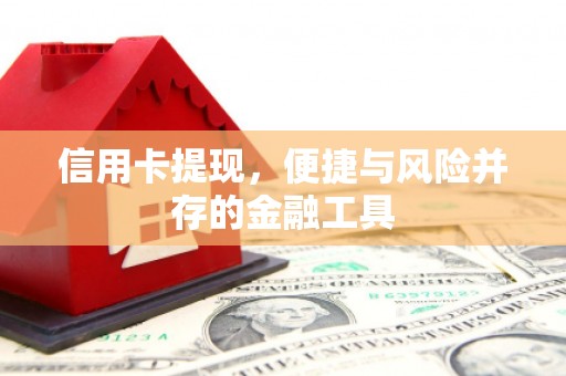 麦积信用卡提现，便捷与风险并存的金融工具