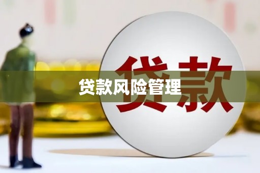 麦积贷款风险管理