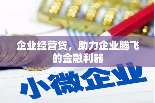 麦积企业经营贷，助力企业腾飞的金融利器