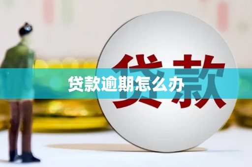 麦积贷款逾期怎么办