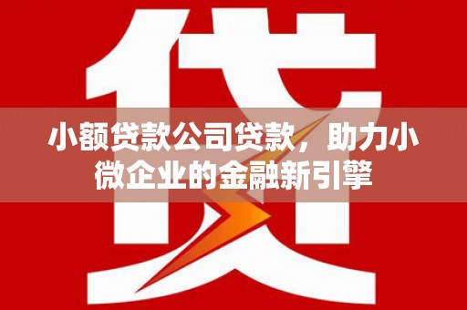 麦积小额贷款公司贷款，助力小微企业的金融新引擎