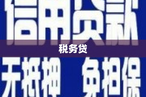麦积税务贷