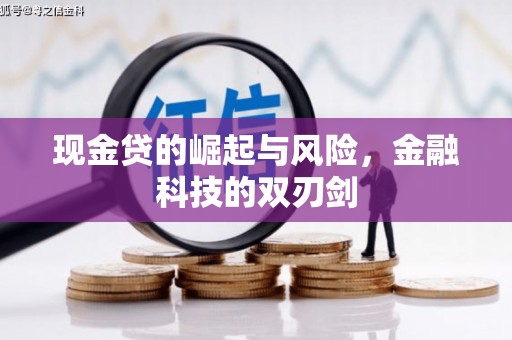 麦积现金贷的崛起与风险，金融科技的双刃剑