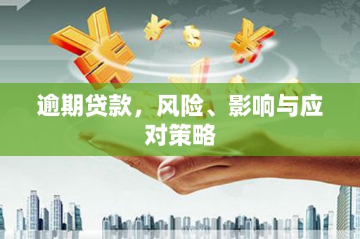 麦积逾期贷款，风险、影响与应对策略
