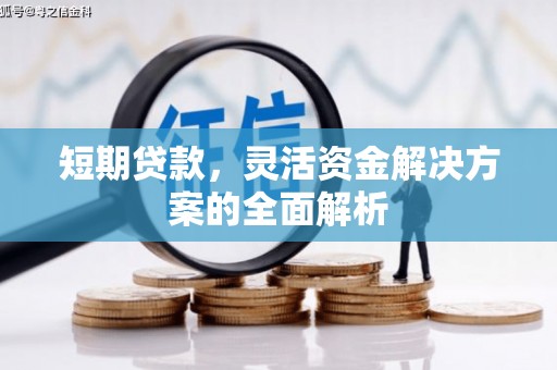 麦积短期贷款，灵活资金解决方案的全面解析