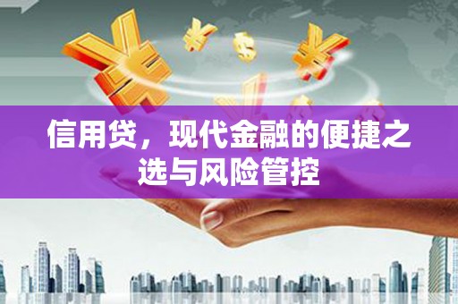 麦积信用贷，现代金融的便捷之选与风险管控