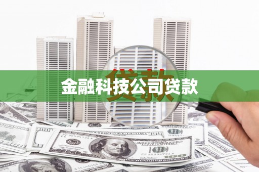 麦积金融科技公司贷款