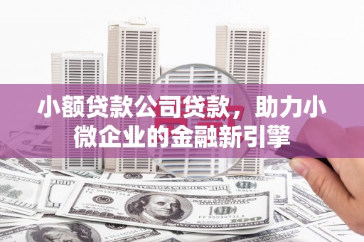 麦积小额贷款公司贷款，助力小微企业的金融新引擎