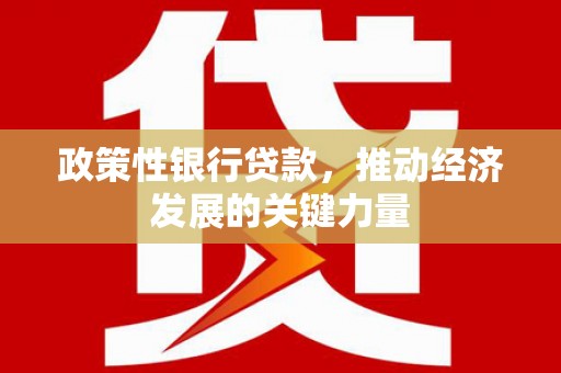 麦积政策性银行贷款，推动经济发展的关键力量