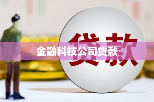 麦积金融科技公司贷款