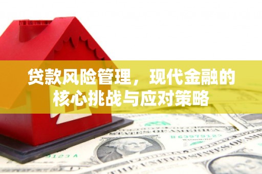 麦积贷款风险管理，现代金融的核心挑战与应对策略