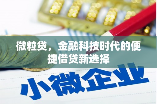 麦积微粒贷，金融科技时代的便捷借贷新选择