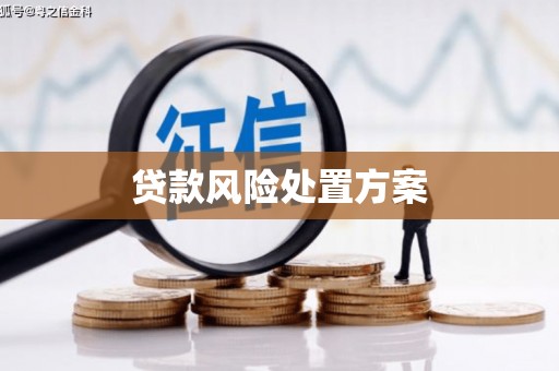 麦积贷款风险处置方案