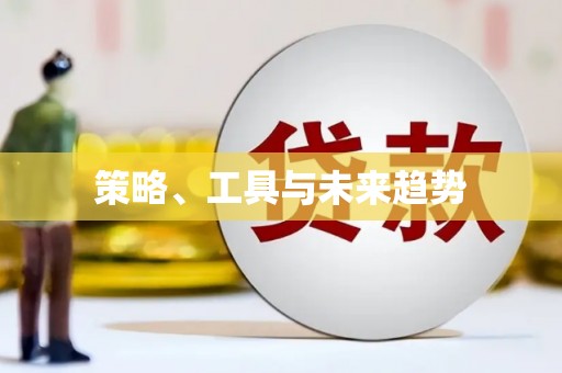 麦积策略、工具与未来趋势