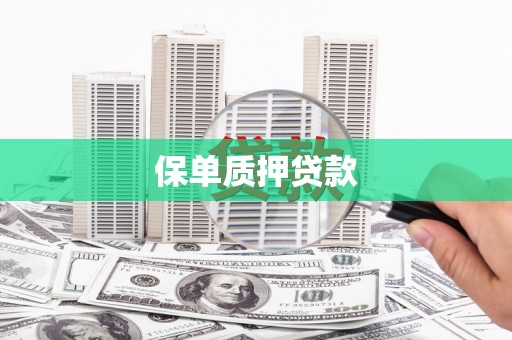 麦积保单质押贷款