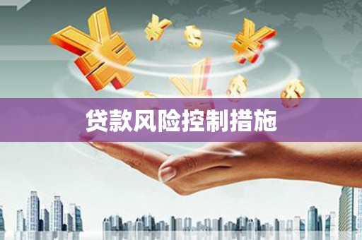 麦积贷款风险控制措施