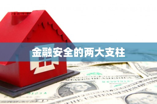 麦积金融安全的两大支柱