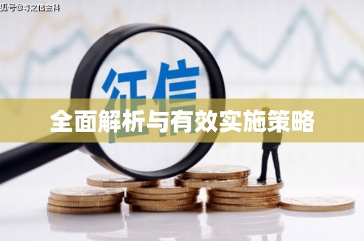 麦积全面解析与有效实施策略