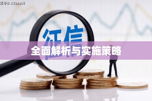 麦积全面解析与实施策略