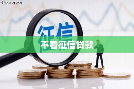 麦积不看征信贷款
