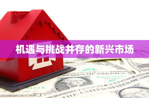 麦积机遇与挑战并存的新兴市场