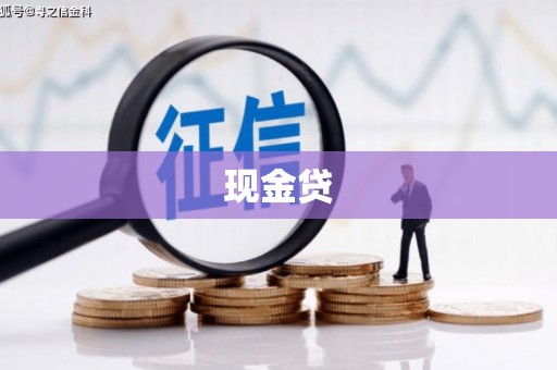 麦积现金贷