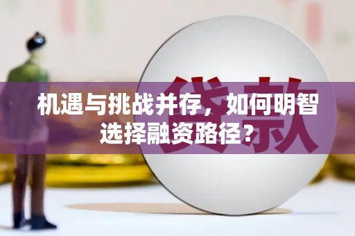 麦积机遇与挑战并存，如何明智选择融资路径？