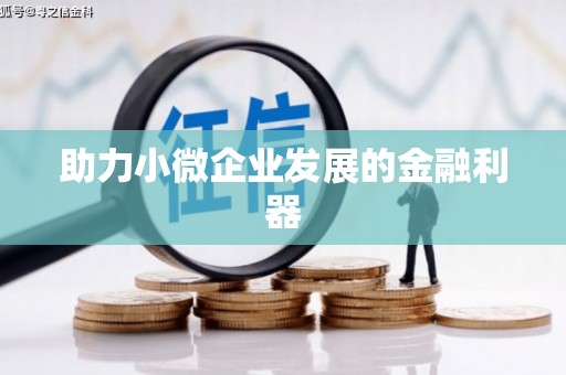 麦积助力小微企业发展的金融利器