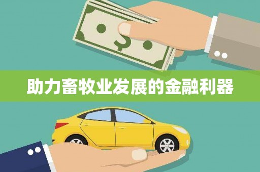 麦积助力畜牧业发展的金融利器