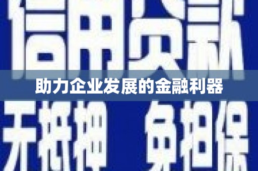 麦积助力企业发展的金融利器