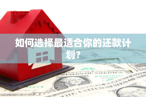 麦积如何选择最适合你的还款计划？