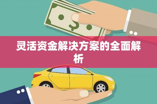 麦积灵活资金解决方案的全面解析